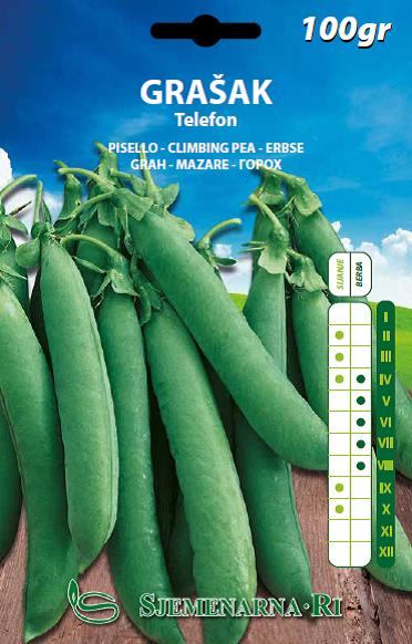 Pea seed 100 gr.