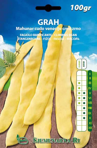 Climbing bean seed, 100 gr.packet