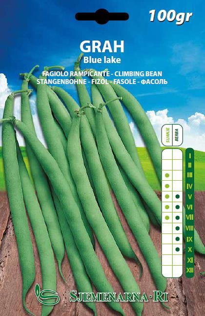 Bean seed, variety:Blue lake, 100 gr.package