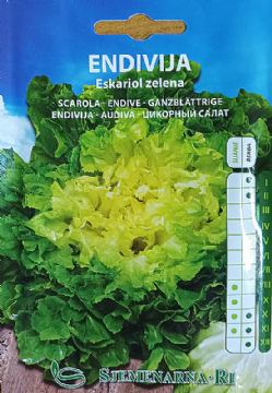 Endive seed vegetable packet