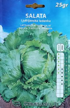 Salata Ljubljanska ledenka 25 gr.