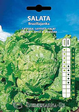 Salata Brazilijanka