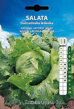 Salata Dalmatinska ledenka