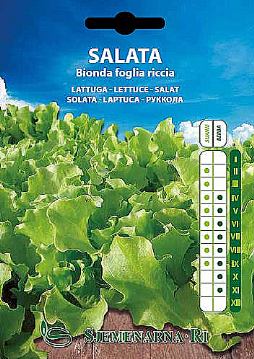 Salad seed, variety: Bionda a foglia riccia