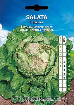 Salad seed, variety:Posavka