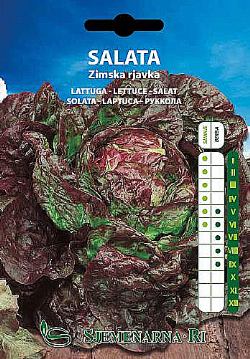 Brown winter lettuce seed packet