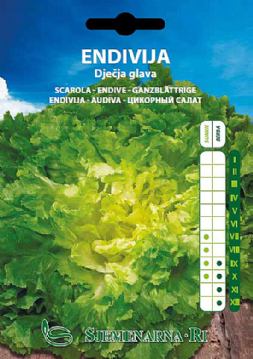 Endive seed packet