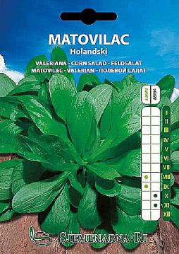 Matovilac holandski 50gr.