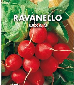 Rotkvica na traci