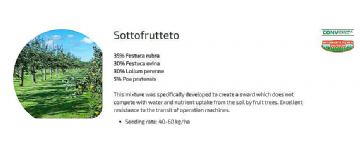 SOTTOFRUTTETO 10kg