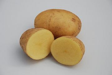 Agria 35/55, 10kg poly vreća 