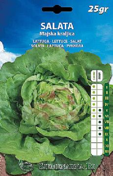 Salad seed, 25 gr. seed packet